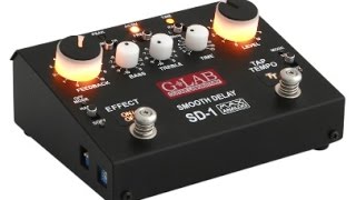 Am Griffbrett WebSite G-Lab DR-3