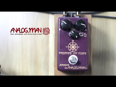Analogman Prince of Tone - YouTube