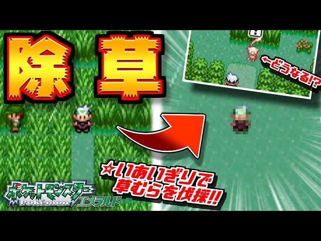 ホウエン地方の草むら全部切ってみた ～いあいぎり～【ポケモン