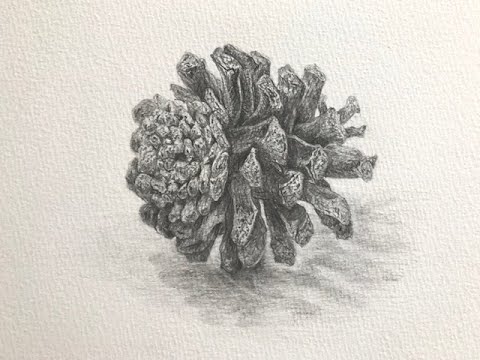 初心者デッサン講座 3/3 「松ぼっくり」 #デッサン - YouTube