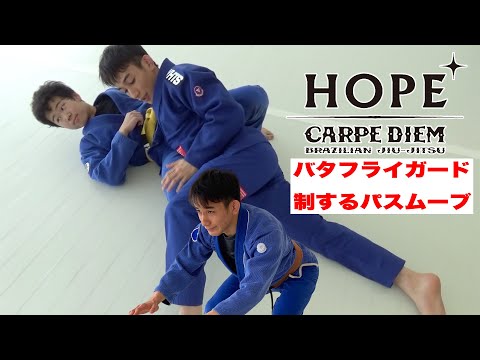 バタフライガード制するパスムーブ - YouTube