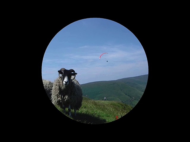 The Tuss - Confederation Trough (Full EP) - YouTube