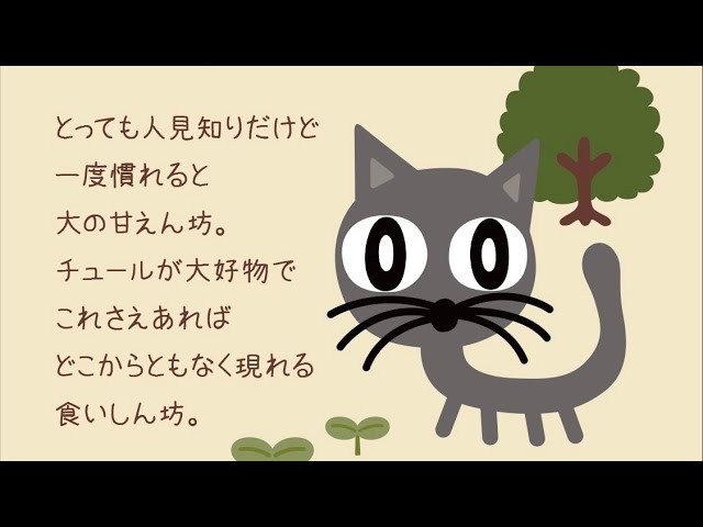 ◇ざっ雑談！やっちゃんねるのやっちゃんが世界に羽ばたく可能性は