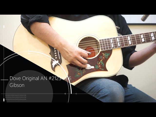 Gibson Dove Original AN S/N:21234016 試奏動画 - YouTube