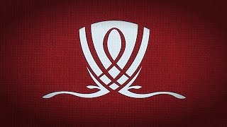 Bee Wynn Playing Cards (Brown, Red, Blue) / ウィン・デック