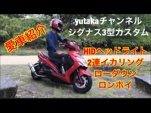 シグナス三型 愛車紹介ロンホイ ローダウン#シグナスX#ローダウン