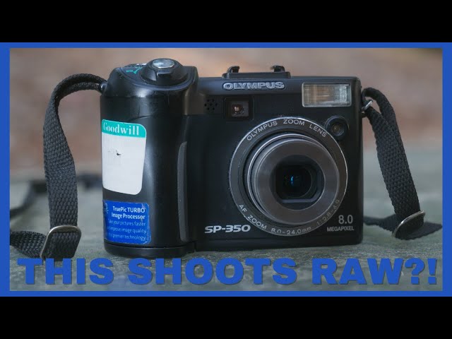 Olympus SP-350 (a 2005 digicam in 2022) | taking pictures in a