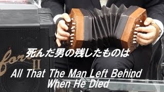 コンサーティーナ専用マイク “Yui (ユイ)”[アングロ・コンサーティーナ