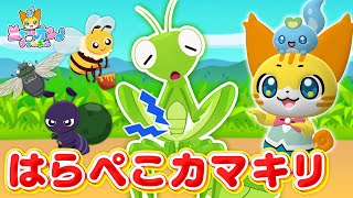 はらぺこカマキリ」のYouTube動画を配信！【ニャーオンチャンネル