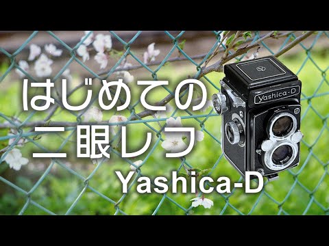 What kind of camera is the Yashica-D? [Introducing the film camera