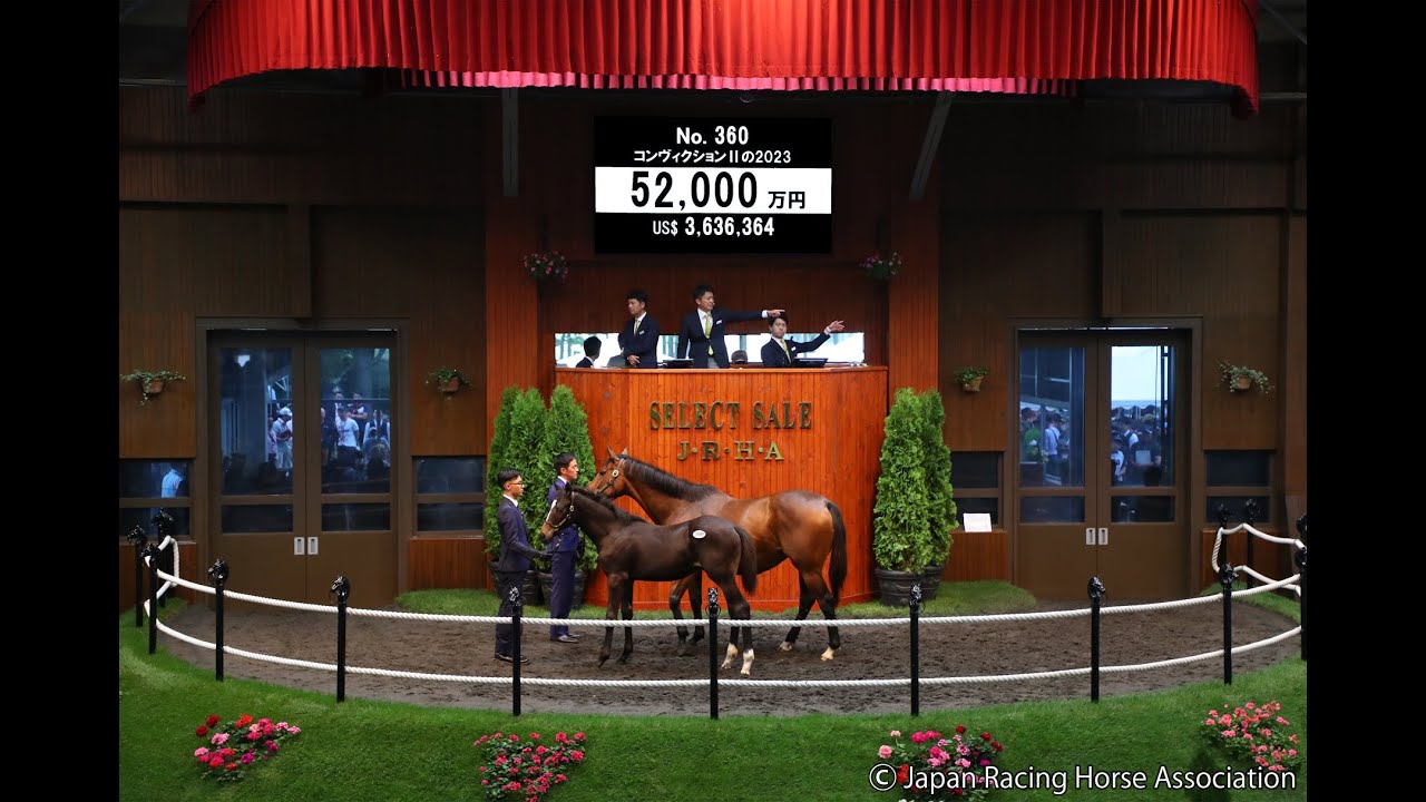 セレクトセール2023 - No.360 - コンヴィクションⅡの2023(父コン