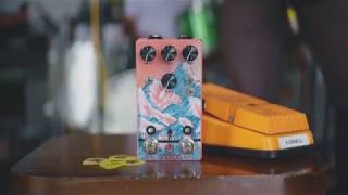 Kangra Filter Fuzz