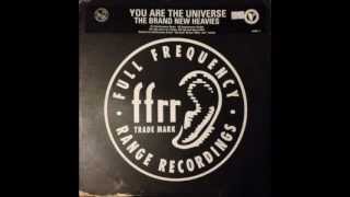 BRAND NEW HEAVIES / YOU ARE THE UNIVERSE (REMIX) [12inch - BNHX 9