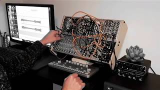 2hp Pluck - Eurorack Module on ModularGrid