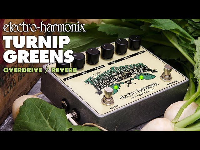 Electro-Harmonix Turnip Greens Overdrive / Reverb Pedal - YouTube