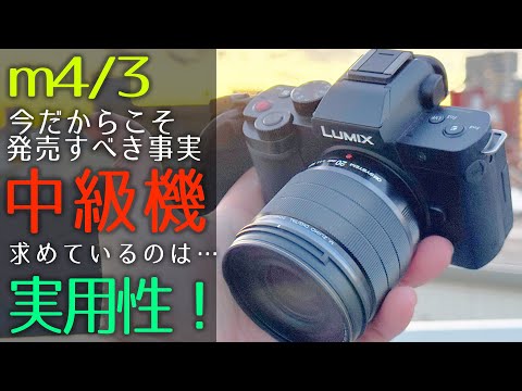 LUMIX G100D 撮影雑談】環境は悪くないm4/3、中級機を出さない問題【M