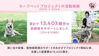 CSR（サポート活動）について | ベーリンガーインゲルハイム アニマル