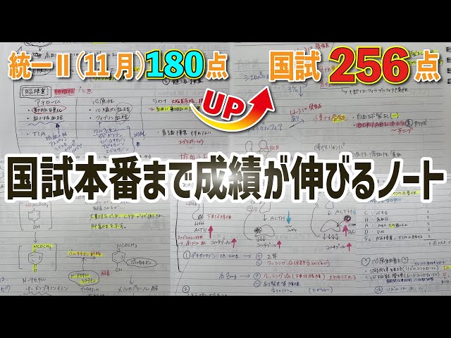 薬剤師国家試験📖直前ノート抜粋】年末からでもまだ間に合う！暗記した