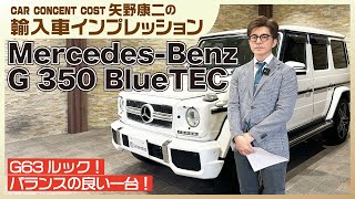 843 G63ルック！バランスの良い一台！メルセデスベンツ G350ブルー
