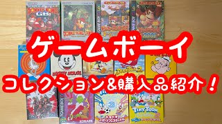 レトロゲーム】最近買った＆コレクションしているゲームボーイのソフト