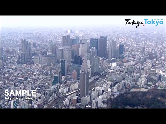 Tokyo Footage] Tokyo Aerial | 空から見た東京（空撮）（Tokyo Japan