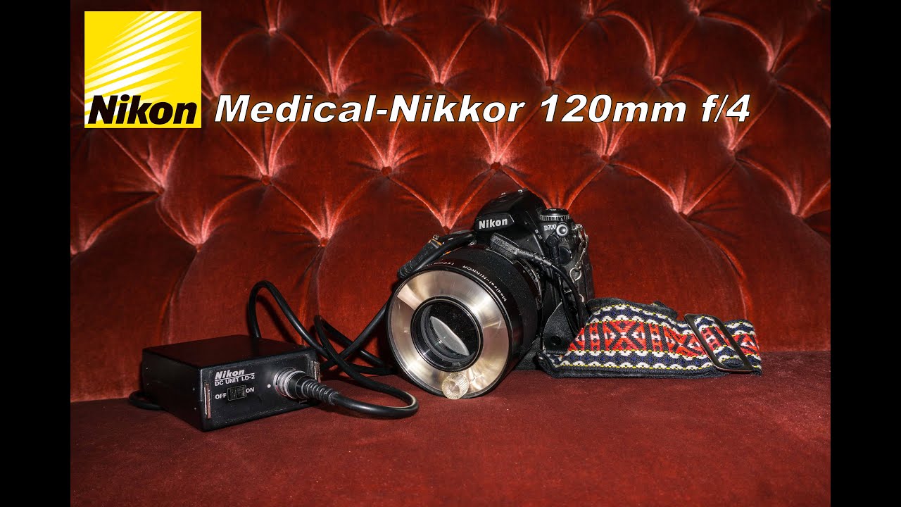 Medical-Nikkor 120mm f/4 #Nikon #Nikkor #ringflash #macrolens