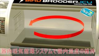 バードブルダーL 育雛器・ヒナ飼育ケース 中古品 化粧箱なし - 酸素
