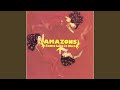 Amazons – Some Like It Hot ~お熱いのがお好き~ – CD (Album), 1990