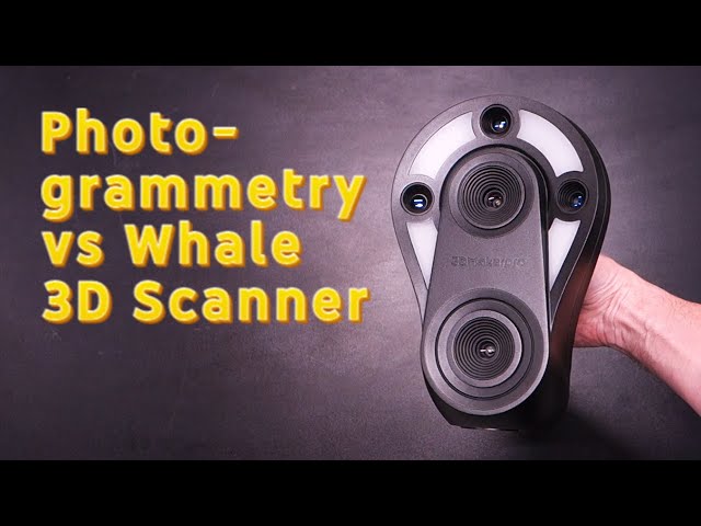 Pro 3D Scanner Better Than Photogrammetry? (3DMakerPro Whale