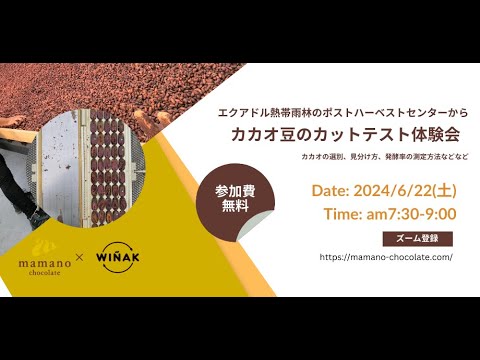 アリバカカオ豆のカットテスト体験会 エクアドルアマゾンのカカオ豆