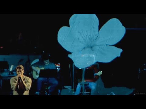 繁中字幕] JONGHYUN(종현/鐘鉉) - 산하엽/山荷葉(Diphylleia grayi