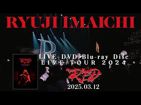 RYUJI IMAICHI - LIVE DVD/Blu-ray『RYUJI IMAICHI LIVE TOUR 2024 