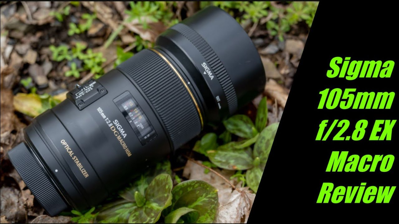 Sigma 105mm 2.8 EX Macro Lens Review - More Than a Macro Lens