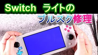 Switchライトのブルースクリーンを修理してみた - YouTube