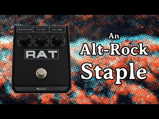 The Rat is More Versatile Than You Think! | ProCo Rat 2 Demo - YouTube