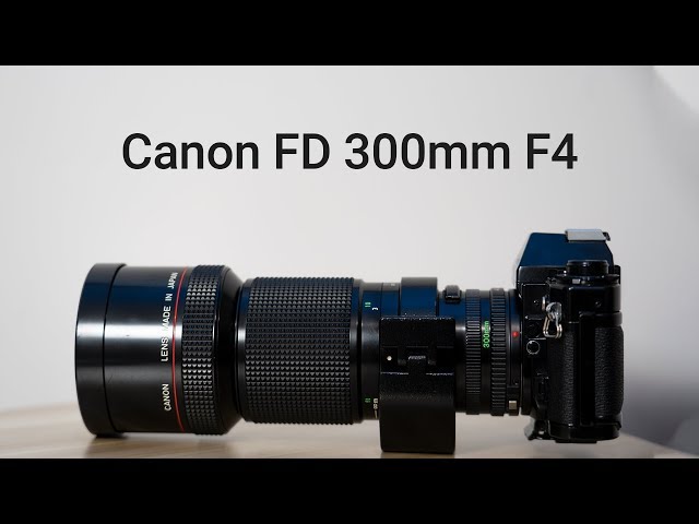 Canon FD 300mm F4 L review - YouTube