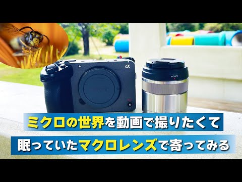 3万円のマクロレンズで寄って動画を撮ったらどう映る？Sony E30mm F3.5