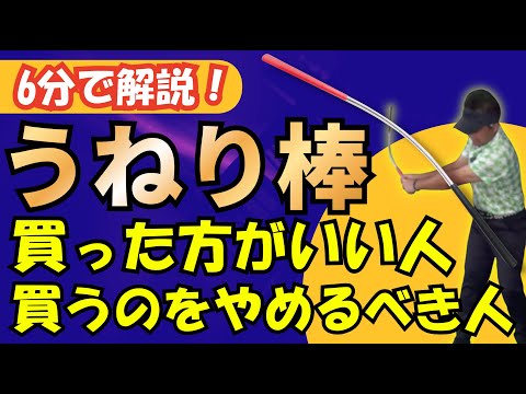 買って後悔しない？6分で分かる『うねり棒』買うべき人、やめるべき人