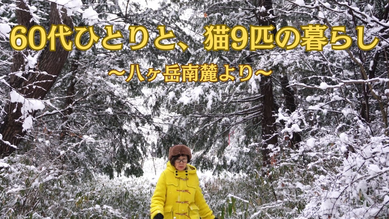 🍃Episode 148] 20 years since moving to the southern foot of