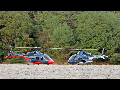 FullCustom Airwolf 600 ＆ Custom RedWolf AirwolfⅡ600 スケール