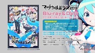 初音ミク マジカルミライ2016 特典色紙 初音ミク マジカルミライ2016