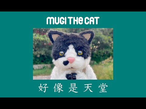 むぎ（猫） - YouTube
