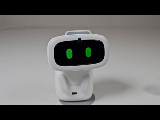 Aibi Pocket Pet From LivingAI - YouTube