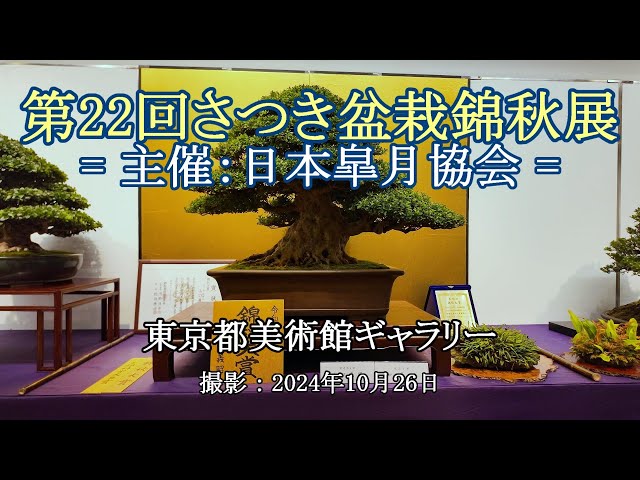 第22回さつき盆栽錦秋展 = 主催：日本皐月協会 = [4K] The 22nd