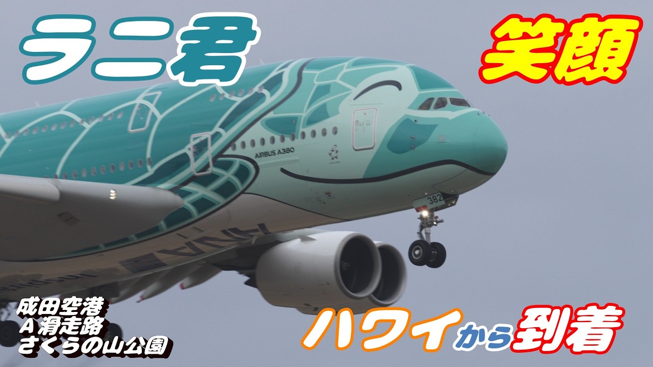 4K】成田空港 さくらの山公園 ANA超巨大旅客機エアバスA380 カイ君