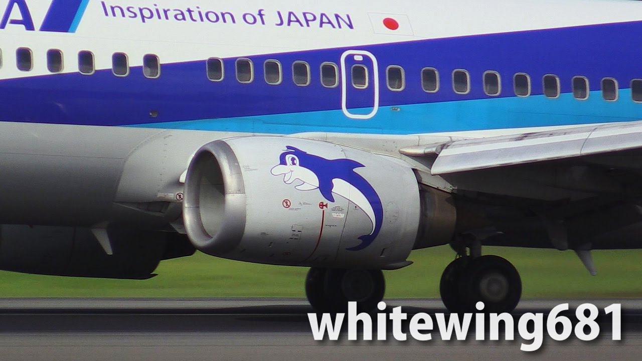 Captain Dolphin] ANA WINGS Boeing 737-500 JA301K LANDING OSAKA Int