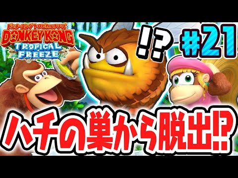 The hidden stage is a beehive!? What is the unexpected way to get