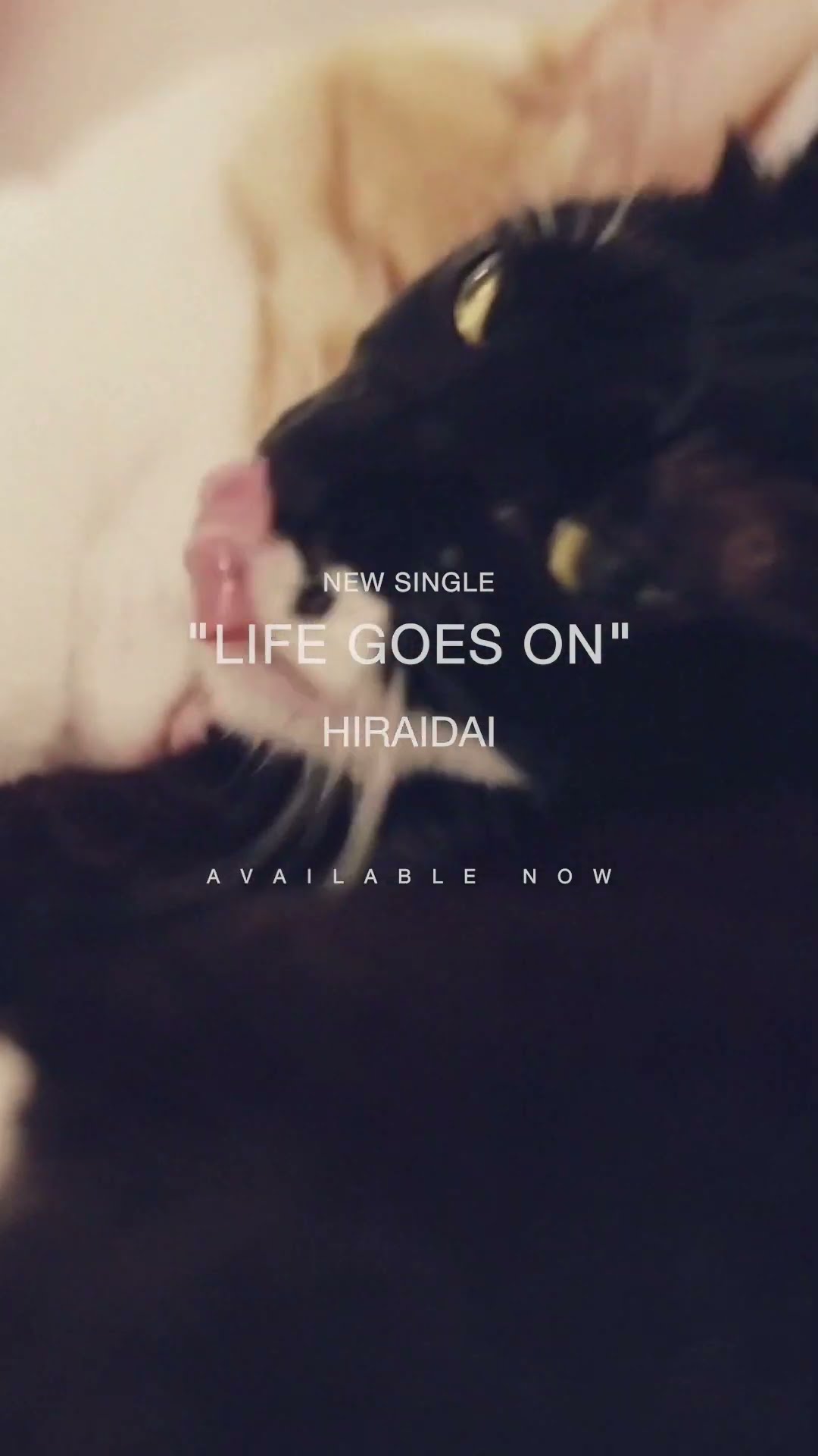 平井 大 / Life goes on（Lyric Video）#Shorts #平井大 #LOVE+PEACE