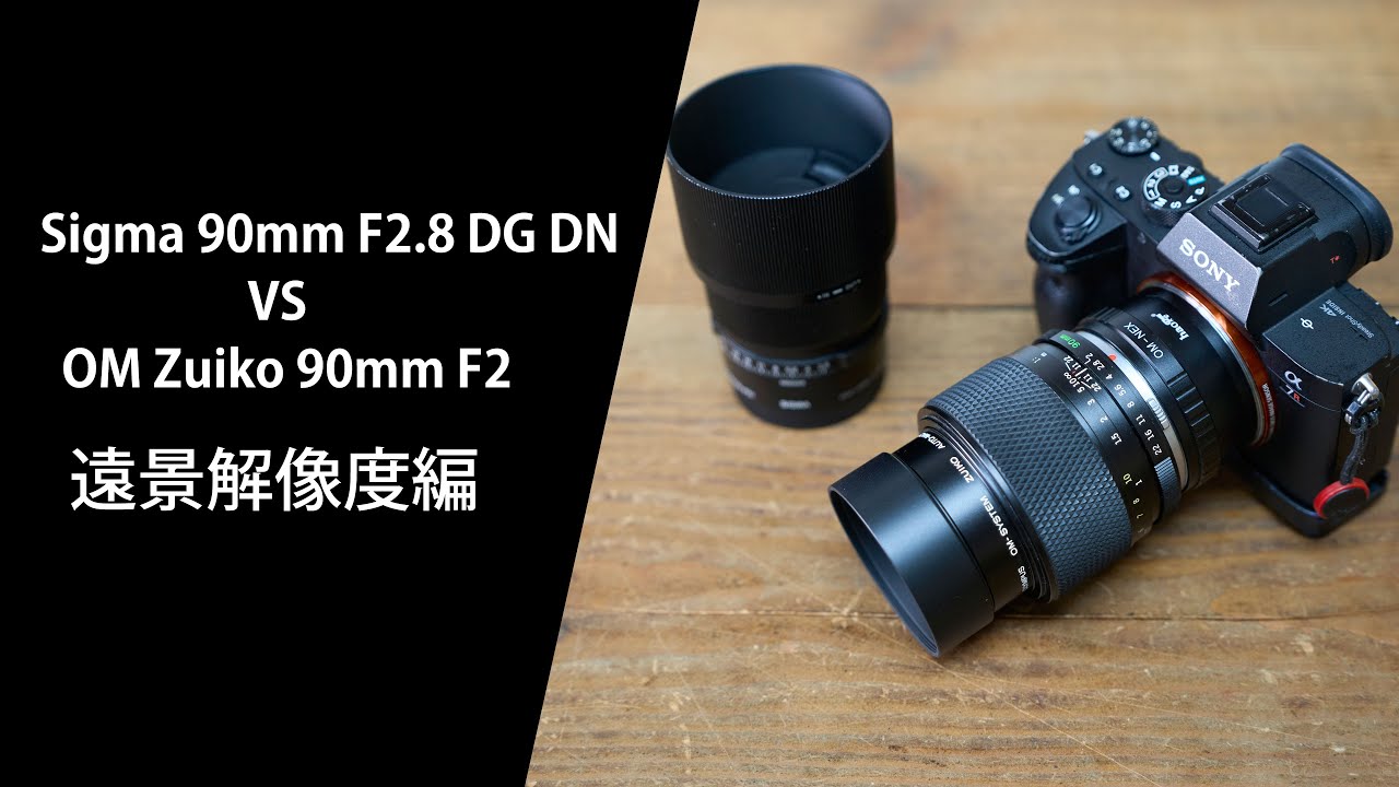 OM Zuiko 90mm F2 AUTO-MACRO と Sigma 90mm F2.8 DG DN の遠景解像度