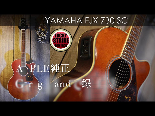 YAMAHA FJX730 SCを買った!! - YouTube